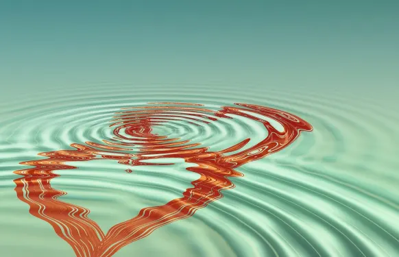 카지노 바바도스 빙고 지원